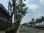 街路樹