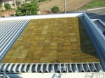 DSCF5839.jpg